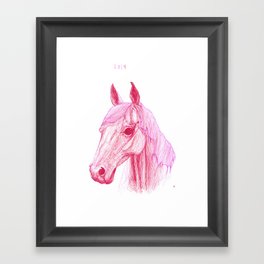 Year Of The Horse Framed Art Print
