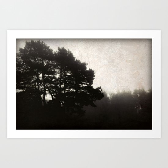 Still Art Print