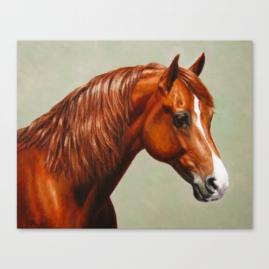 Chestnut Morgan Horse Canvas Print