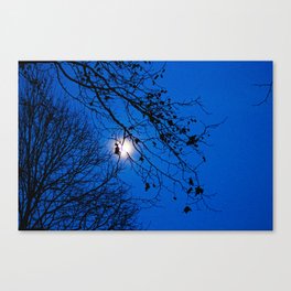 Winter Bare Trees Branches Night Moon Canvas Print