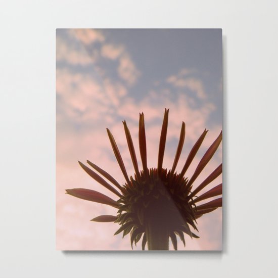 Reach for Your Dreams Metal Print