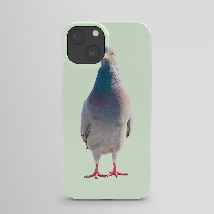 pigeon iPhone Case