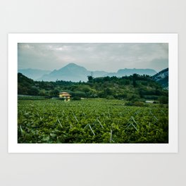 The country house with a view over the vines Art Print