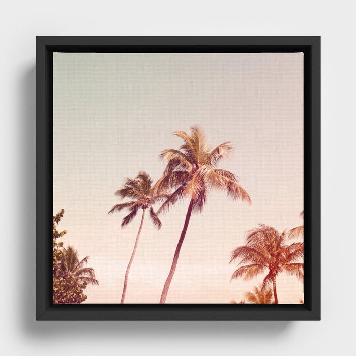 Parallel Lives - Tropical Photograph Framed Canvas