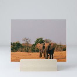 elephants during sunset Mini Art Print