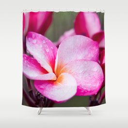 Pua Melia Floral Celebration Shower Curtain