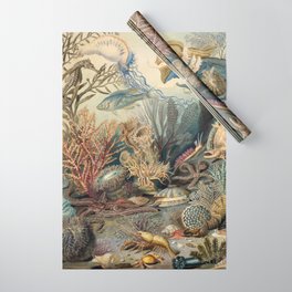 Ocean Life by James M Sommerville 1859 Funky Quirky Cute Cozy Boho Maximalism Maximalist Wrapping Paper