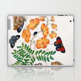 Caesalpinoid legume, Blackburn's Earth Boring Beetle, Seven-Spotted Ladybird Beetle, Purple Emperor and shells from the Natural History Cabinet of Anna Blackburne Laptop Skin