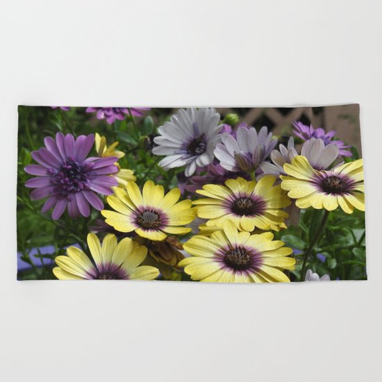 Yellow and Purple African Daisies Beach Towel