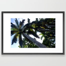 Coconut Trees Framed Art Print