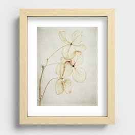 fading Recessed Framed Print