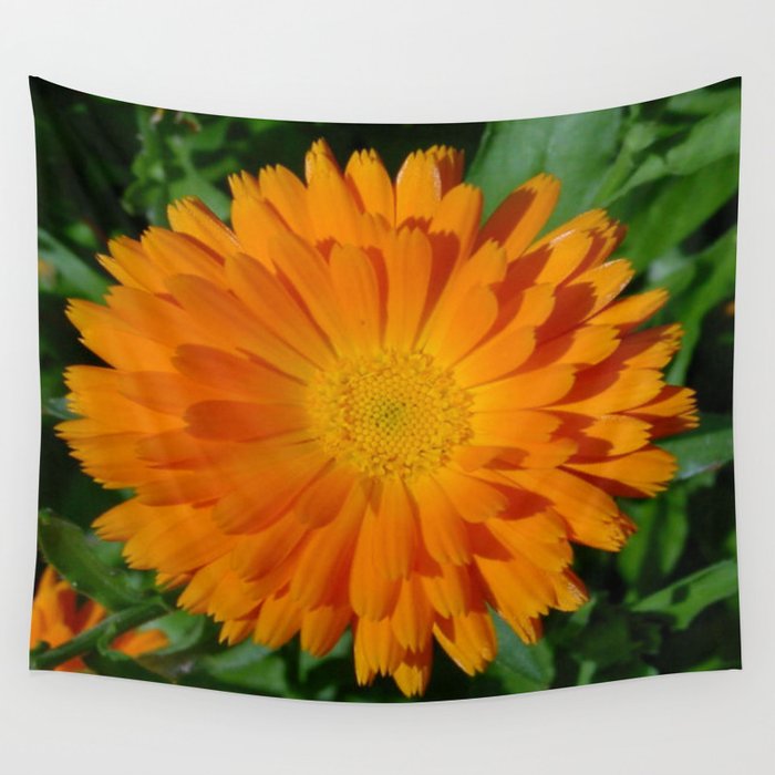 Orange Marigold Close Up With Garden Background  Wall Tapestry