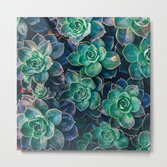 Succulent Gardens Metal Print