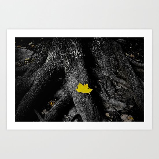 A Spark of Color Art Print