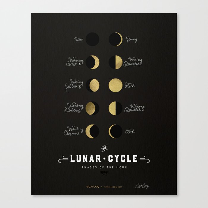 The Lunar Cycle • Phases of the Moon – Black & Gold Palette Canvas Print