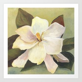 Southern Gardenia Art Print