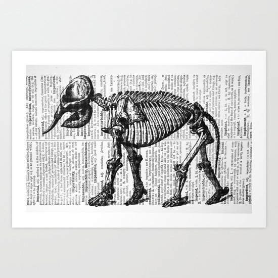 Elephant Skeleton Art Print