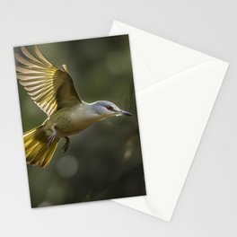 Birds of the Jungle-4 Stationery Cards