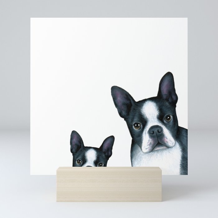 Dog 128 Boston Terrier Dogs black and white Mini Art Print