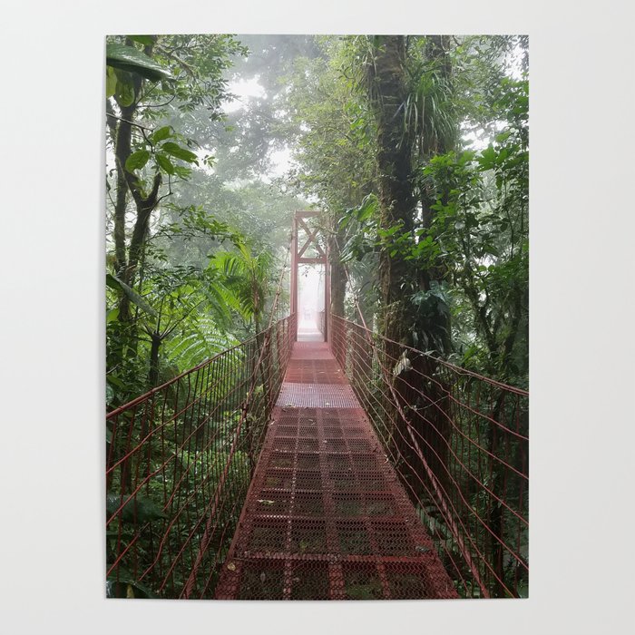 Cloud Forest Poster
