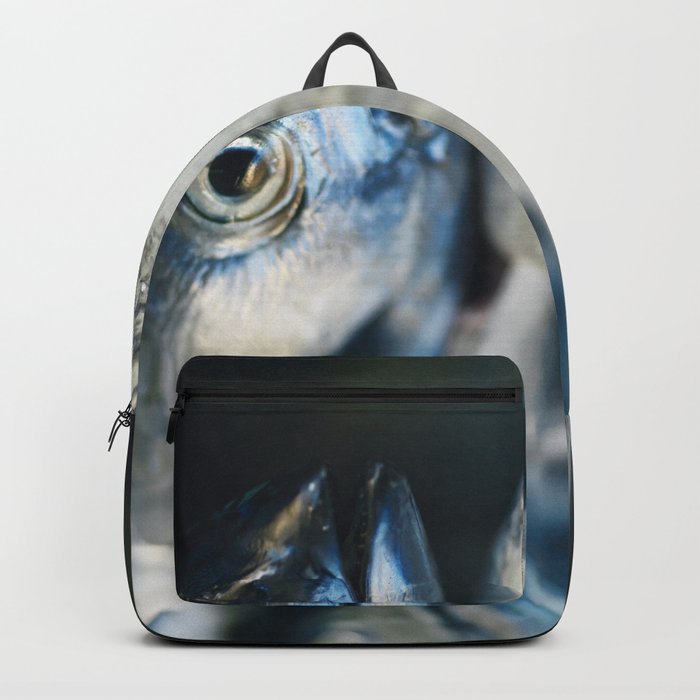 Tuna fish wall art, animals photography, nature photos, Hasselblad photo Backpack