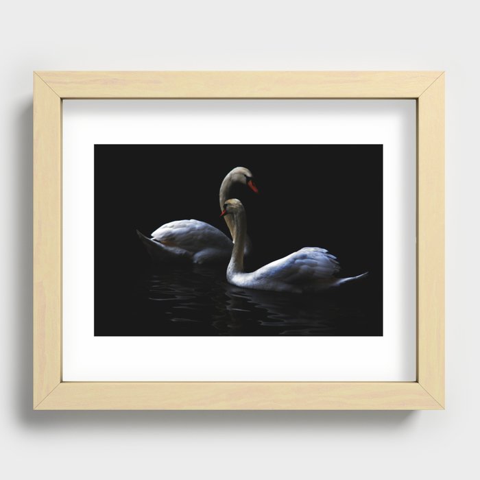 swans Recessed Framed Print