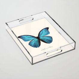 Blue Morpho Butterfly (Morpho Menelaus) Acrylic Tray