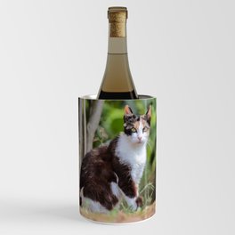 Are you meowing to me? Wine Chiller