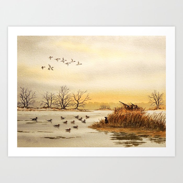 Hunting Pintail Ducks Art Print