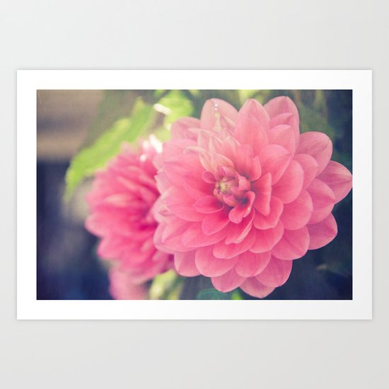 Pink Dahlia Art Print