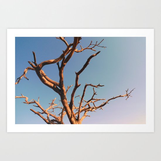 WAFU Art Print