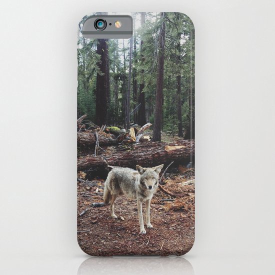 Injured Coyote iPhone & iPod Case