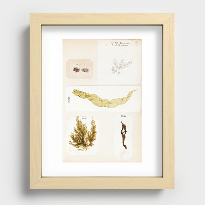 Recessed Framed Print