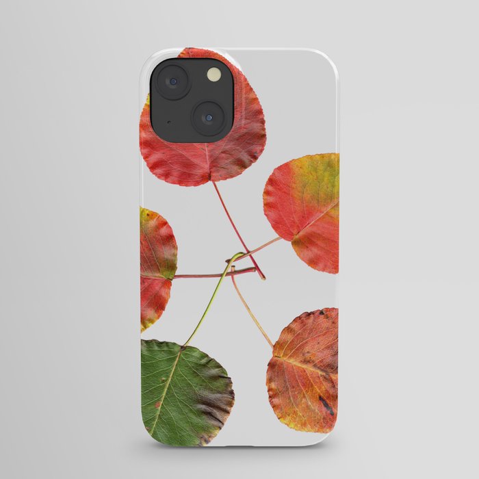 Five Fall Leaves iPhone Case