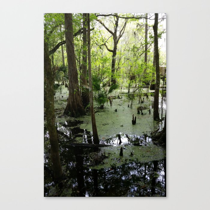 Canvas Print