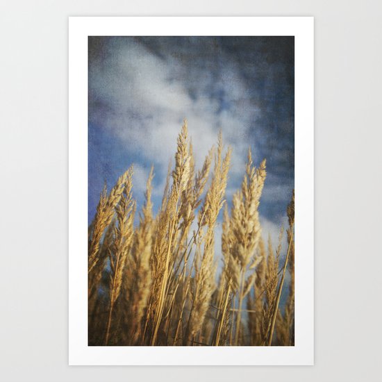 Late Summer Art Print