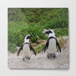 South Africa Photography - Two Small Penguins At The Beach Metal Print