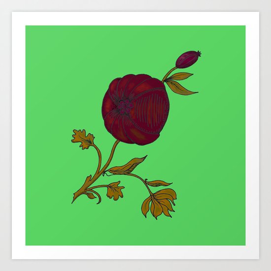 simple decorative pomegranate Art Print
