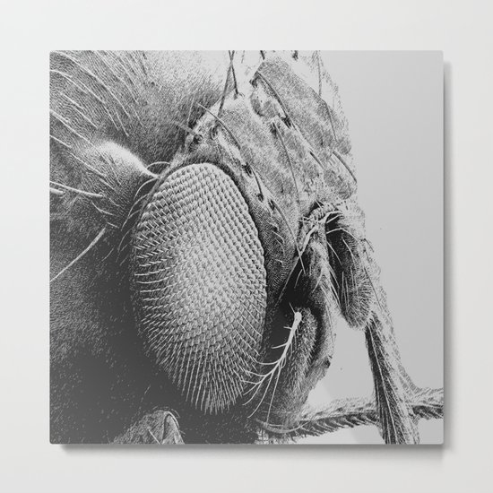Shoo Fly Metal Print