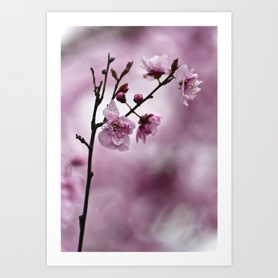 Pink Art Print