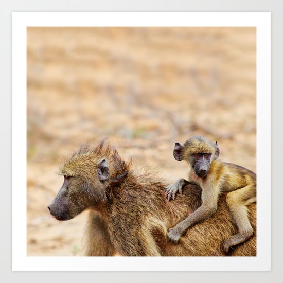 Cute monkey baby and mother Art Print