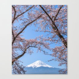 Mount Fuji with Cherry Blossoms in Kawaguchiko, Japan Canvas Print