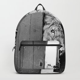 Beware of Dog black and white photograph of attack lion humorous black and white photography Backpack | Cat, Cats, Funny, Lion, Photographs, Badkitty, Blackandwhite, Kittens, Bedroom, Dogs 