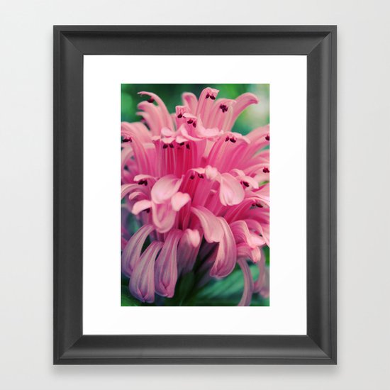 Pink! Framed Art Print