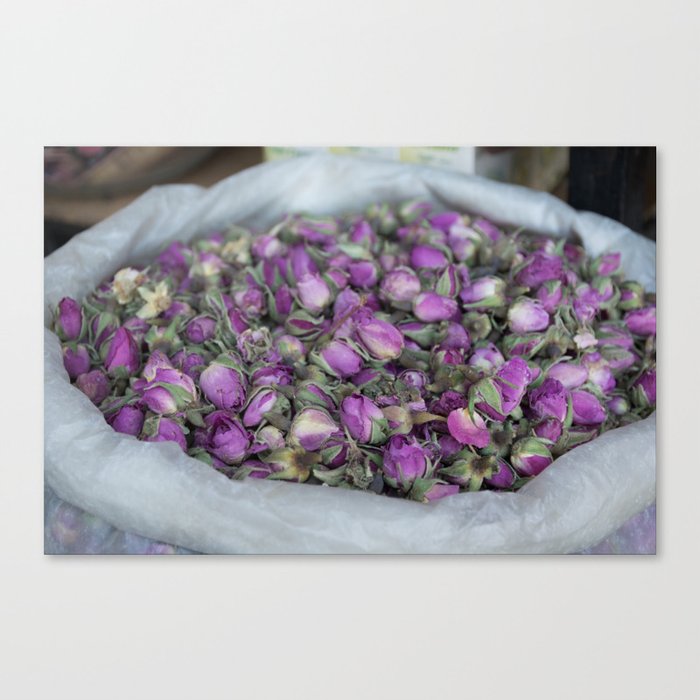 Roses of Marrakech Canvas Print