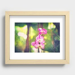 Orchid Impressions Recessed Framed Print
