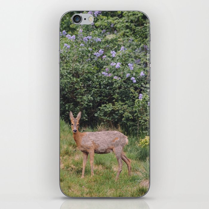 deer & lilacs iPhone Skin