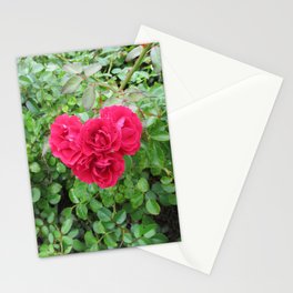 A heart to you  Stationery Cards