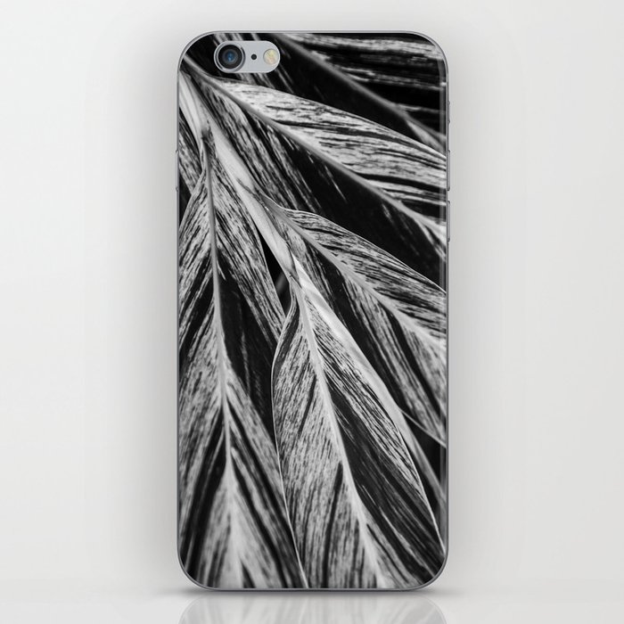 Striped Leaves  |  The Houseplant Collection iPhone Skin