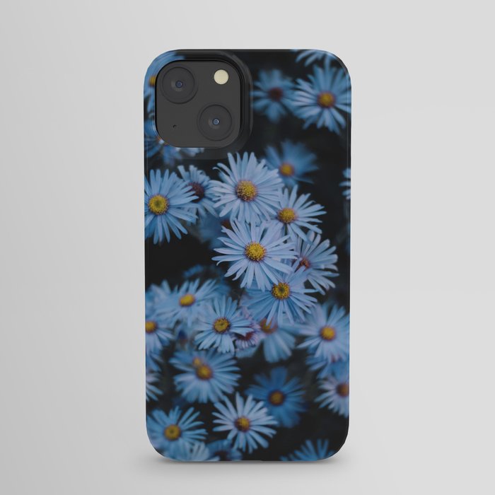 Blue Asters iPhone Case